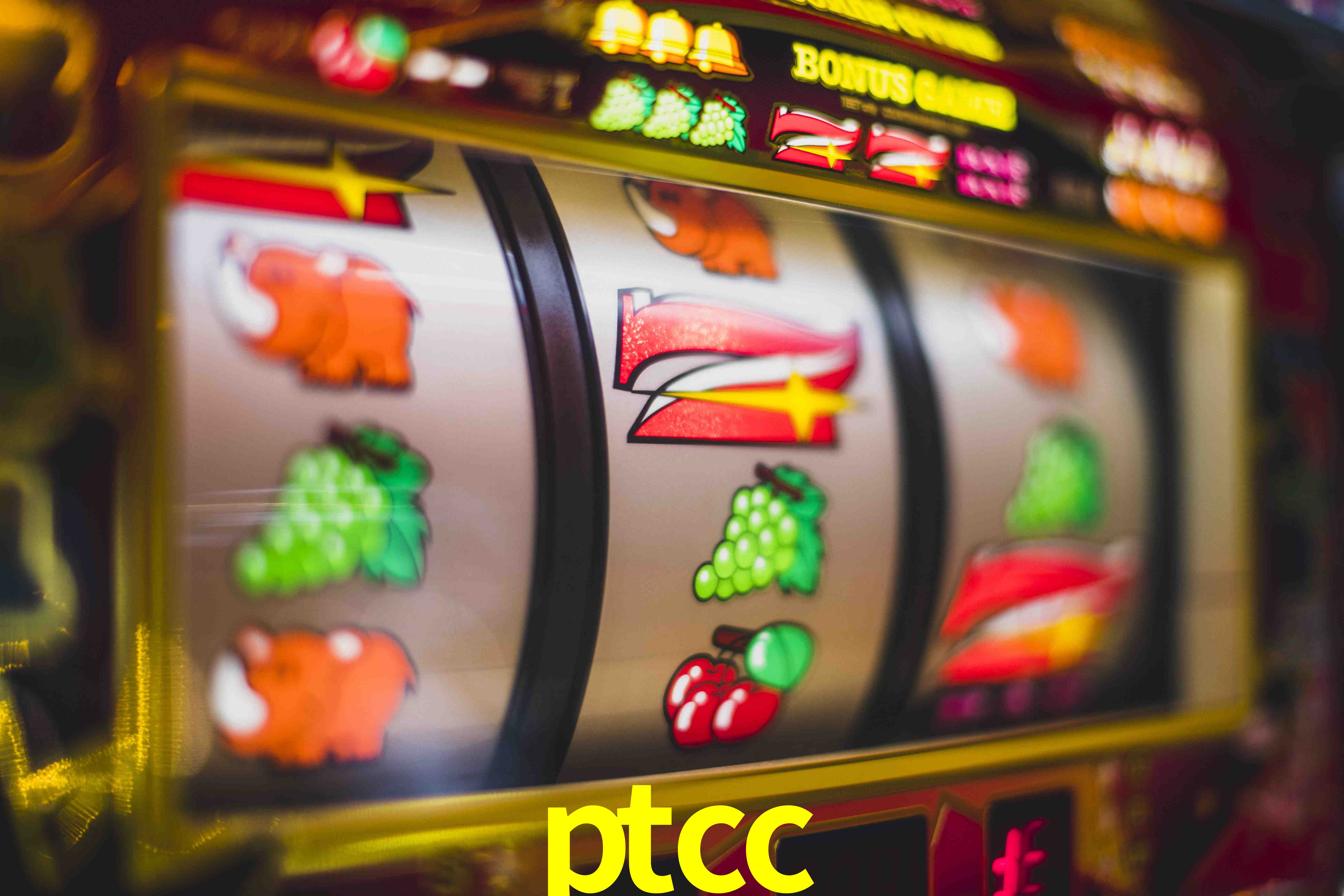 Sports Statistics ptcc